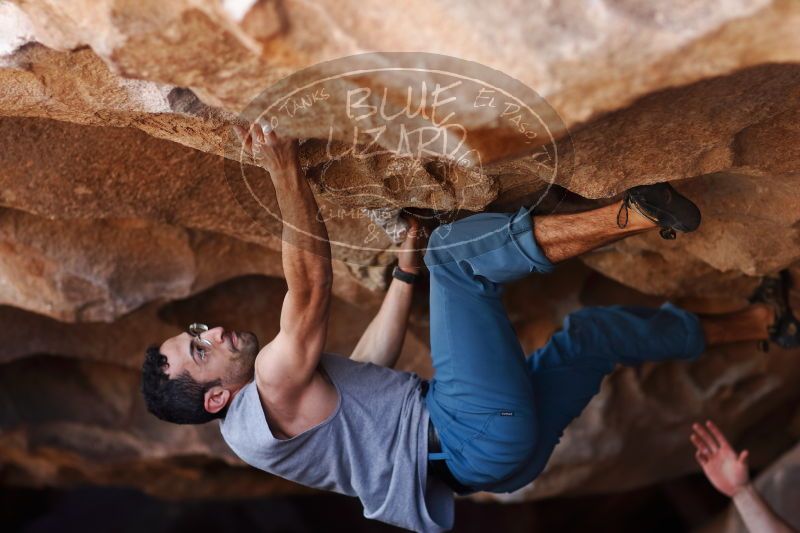 

Filename: SRM_20170312_1121171.jpg
Aperture: f/2.0
Shutter Speed: 1/800
Body: Canon EOS-1D Mark II
Lens: Canon EF 85mm f/1.2 L II