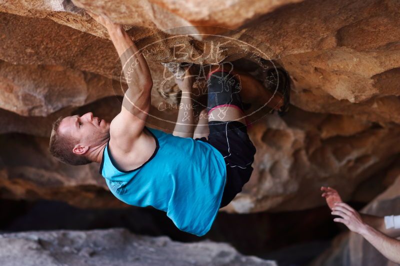 

Filename: SRM_20170312_1122470.jpg
Aperture: f/2.0
Shutter Speed: 1/800
Body: Canon EOS-1D Mark II
Lens: Canon EF 85mm f/1.2 L II