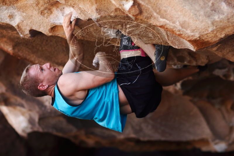 

Filename: SRM_20170312_1122560.jpg
Aperture: f/2.0
Shutter Speed: 1/1000
Body: Canon EOS-1D Mark II
Lens: Canon EF 85mm f/1.2 L II