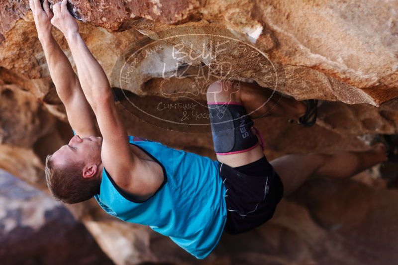 

Filename: SRM_20170312_1123110.jpg
Aperture: f/2.0
Shutter Speed: 1/1250
Body: Canon EOS-1D Mark II
Lens: Canon EF 85mm f/1.2 L II