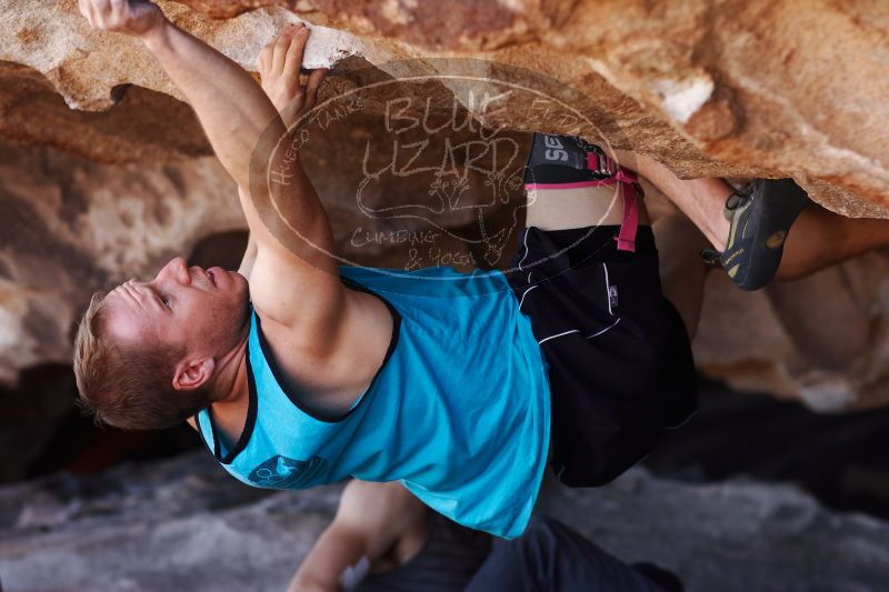 

Filename: SRM_20170312_1131570.jpg
Aperture: f/2.8
Shutter Speed: 1/640
Body: Canon EOS-1D Mark II
Lens: Canon EF 85mm f/1.2 L II