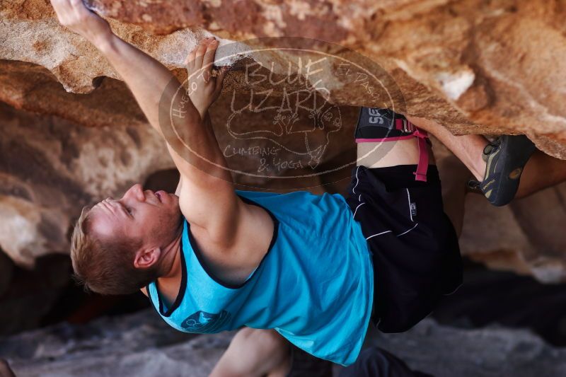 

Filename: SRM_20170312_1131571.jpg
Aperture: f/2.8
Shutter Speed: 1/800
Body: Canon EOS-1D Mark II
Lens: Canon EF 85mm f/1.2 L II