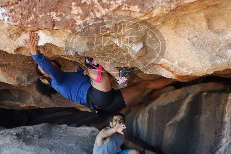 

Filename: SRM_20170312_1141271.jpg
Aperture: f/4.0
Shutter Speed: 1/320
Body: Canon EOS-1D Mark II
Lens: Canon EF 50mm f/1.8 II