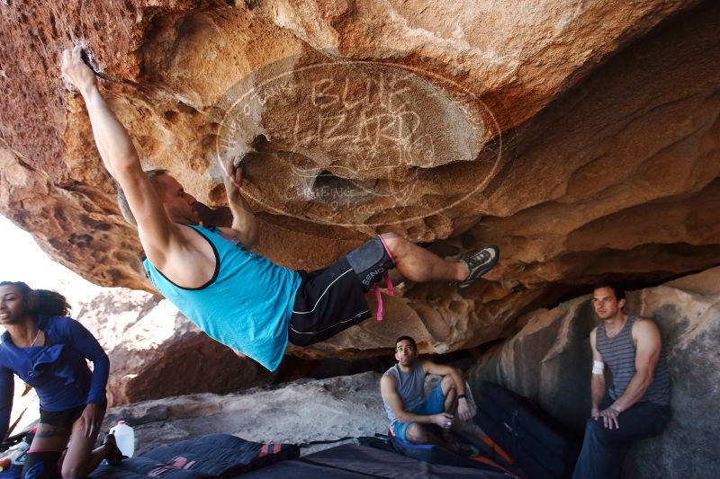 

Filename: SRM_20170312_1144130.jpg
Aperture: f/4.0
Shutter Speed: 1/320
Body: Canon EOS-1D Mark II
Lens: Canon EF 16-35mm f/2.8 L