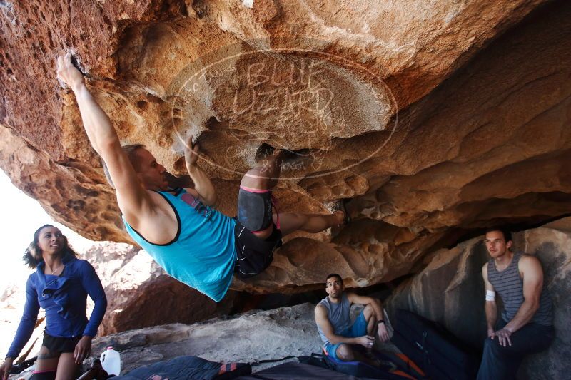 

Filename: SRM_20170312_1144132.jpg
Aperture: f/4.0
Shutter Speed: 1/320
Body: Canon EOS-1D Mark II
Lens: Canon EF 16-35mm f/2.8 L