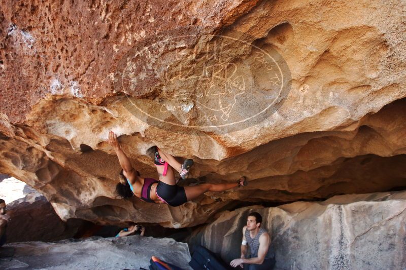 

Filename: SRM_20170312_1151331.jpg
Aperture: f/4.0
Shutter Speed: 1/320
Body: Canon EOS-1D Mark II
Lens: Canon EF 16-35mm f/2.8 L