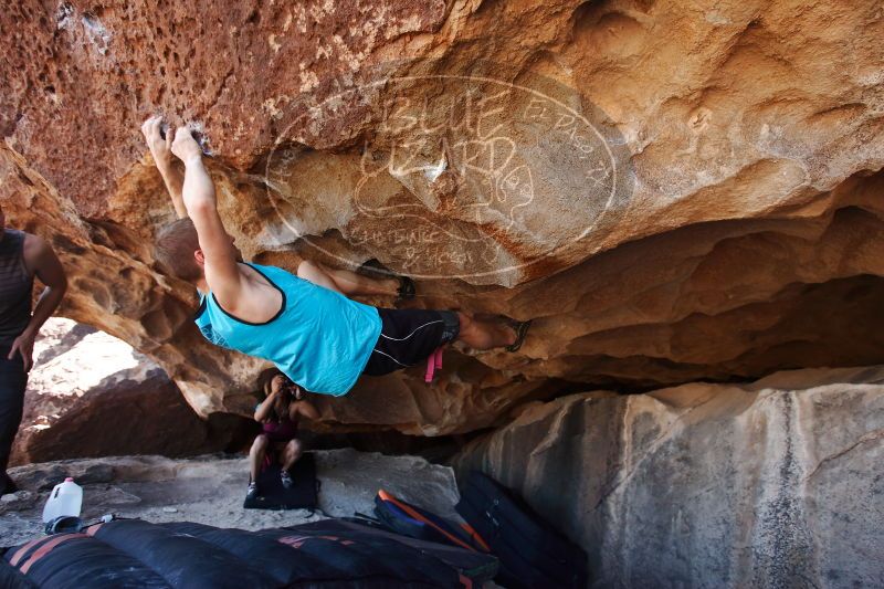 

Filename: SRM_20170312_1159030.jpg
Aperture: f/4.0
Shutter Speed: 1/320
Body: Canon EOS-1D Mark II
Lens: Canon EF 16-35mm f/2.8 L