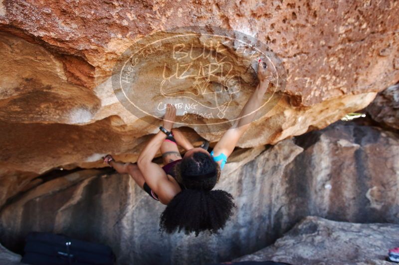 

Filename: SRM_20170312_1202130.jpg
Aperture: f/4.0
Shutter Speed: 1/250
Body: Canon EOS-1D Mark II
Lens: Canon EF 16-35mm f/2.8 L