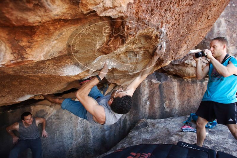 

Filename: SRM_20170312_1207340.jpg
Aperture: f/4.0
Shutter Speed: 1/320
Body: Canon EOS-1D Mark II
Lens: Canon EF 16-35mm f/2.8 L