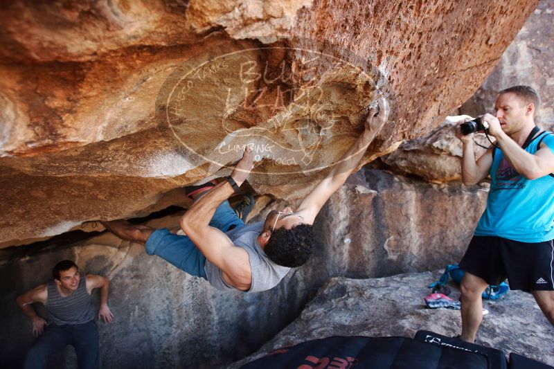 

Filename: SRM_20170312_1207341.jpg
Aperture: f/4.0
Shutter Speed: 1/320
Body: Canon EOS-1D Mark II
Lens: Canon EF 16-35mm f/2.8 L