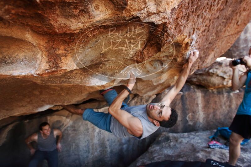 

Filename: SRM_20170312_1207360.jpg
Aperture: f/4.0
Shutter Speed: 1/320
Body: Canon EOS-1D Mark II
Lens: Canon EF 16-35mm f/2.8 L