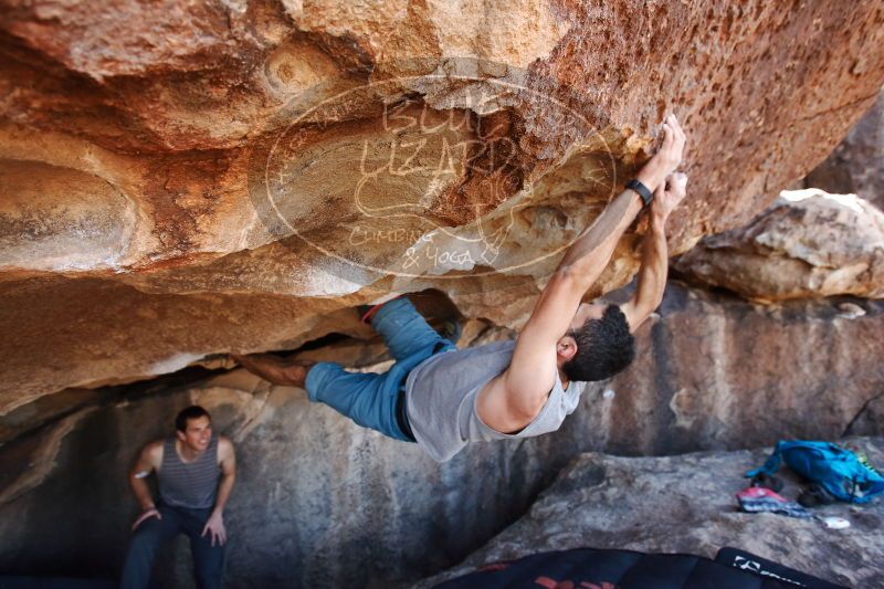 

Filename: SRM_20170312_1207440.jpg
Aperture: f/4.0
Shutter Speed: 1/320
Body: Canon EOS-1D Mark II
Lens: Canon EF 16-35mm f/2.8 L