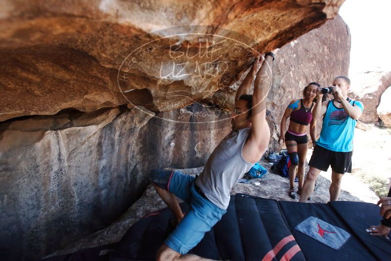 

Filename: SRM_20170312_1207550.jpg
Aperture: f/4.0
Shutter Speed: 1/320
Body: Canon EOS-1D Mark II
Lens: Canon EF 16-35mm f/2.8 L