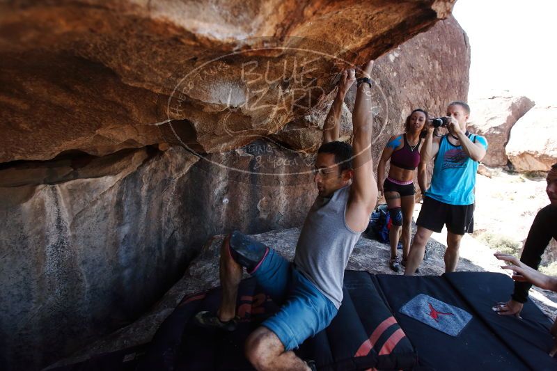 

Filename: SRM_20170312_1207551.jpg
Aperture: f/4.0
Shutter Speed: 1/500
Body: Canon EOS-1D Mark II
Lens: Canon EF 16-35mm f/2.8 L