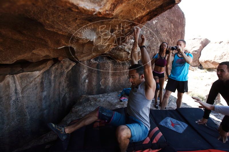 

Filename: SRM_20170312_1207552.jpg
Aperture: f/4.0
Shutter Speed: 1/640
Body: Canon EOS-1D Mark II
Lens: Canon EF 16-35mm f/2.8 L