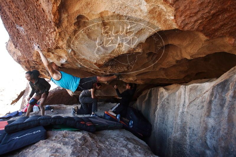 

Filename: SRM_20170312_1227220.jpg
Aperture: f/3.5
Shutter Speed: 1/400
Body: Canon EOS-1D Mark II
Lens: Canon EF 16-35mm f/2.8 L