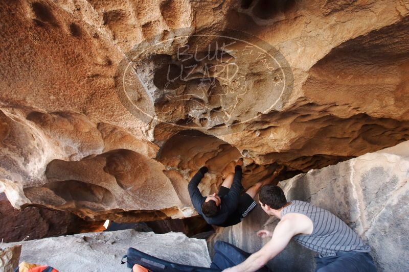 

Filename: SRM_20170312_1231190.jpg
Aperture: f/3.5
Shutter Speed: 1/125
Body: Canon EOS-1D Mark II
Lens: Canon EF 16-35mm f/2.8 L