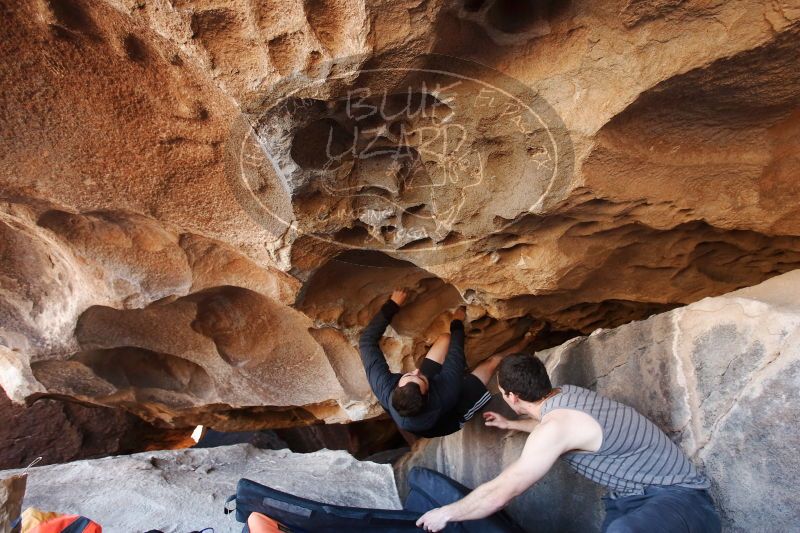 

Filename: SRM_20170312_1231191.jpg
Aperture: f/3.5
Shutter Speed: 1/125
Body: Canon EOS-1D Mark II
Lens: Canon EF 16-35mm f/2.8 L