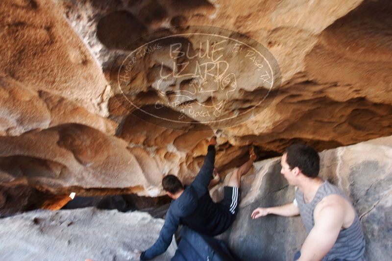 

Filename: SRM_20170312_1231210.jpg
Aperture: f/3.5
Shutter Speed: 1/125
Body: Canon EOS-1D Mark II
Lens: Canon EF 16-35mm f/2.8 L