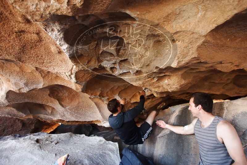 

Filename: SRM_20170312_1232041.jpg
Aperture: f/3.5
Shutter Speed: 1/125
Body: Canon EOS-1D Mark II
Lens: Canon EF 16-35mm f/2.8 L