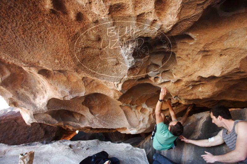 

Filename: SRM_20170312_1232532.jpg
Aperture: f/3.5
Shutter Speed: 1/160
Body: Canon EOS-1D Mark II
Lens: Canon EF 16-35mm f/2.8 L