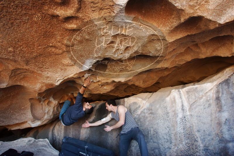 

Filename: SRM_20170312_1239270.jpg
Aperture: f/4.5
Shutter Speed: 1/125
Body: Canon EOS-1D Mark II
Lens: Canon EF 16-35mm f/2.8 L