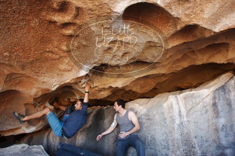 

Filename: SRM_20170312_1239302.jpg
Aperture: f/4.5
Shutter Speed: 1/125
Body: Canon EOS-1D Mark II
Lens: Canon EF 16-35mm f/2.8 L