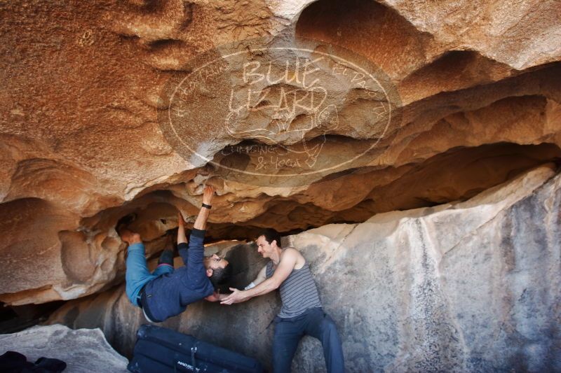 

Filename: SRM_20170312_1239420.jpg
Aperture: f/4.5
Shutter Speed: 1/125
Body: Canon EOS-1D Mark II
Lens: Canon EF 16-35mm f/2.8 L