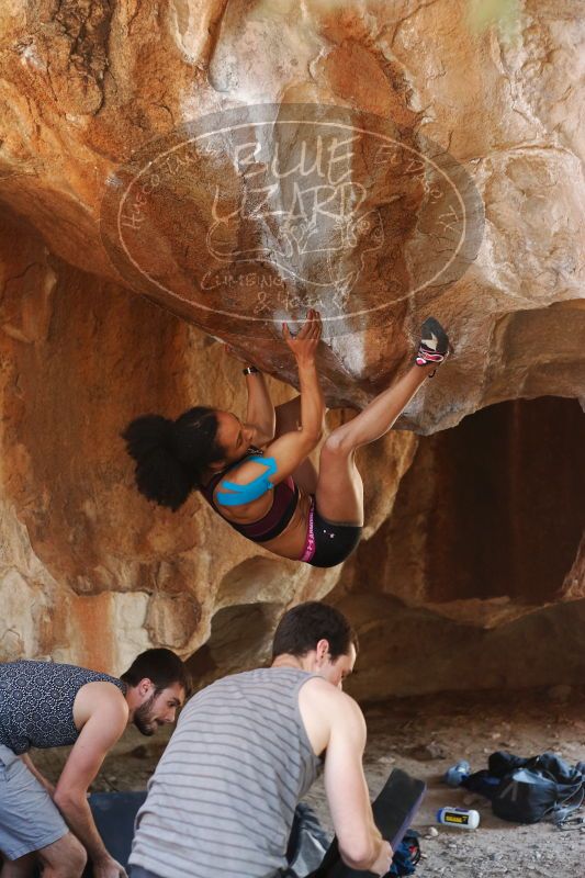 

Filename: SRM_20170312_1336321.jpg
Aperture: f/2.8
Shutter Speed: 1/250
Body: Canon EOS-1D Mark II
Lens: Canon EF 50mm f/1.8 II