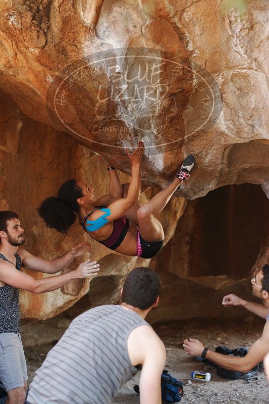 

Filename: SRM_20170312_1336343.jpg
Aperture: f/2.8
Shutter Speed: 1/250
Body: Canon EOS-1D Mark II
Lens: Canon EF 50mm f/1.8 II