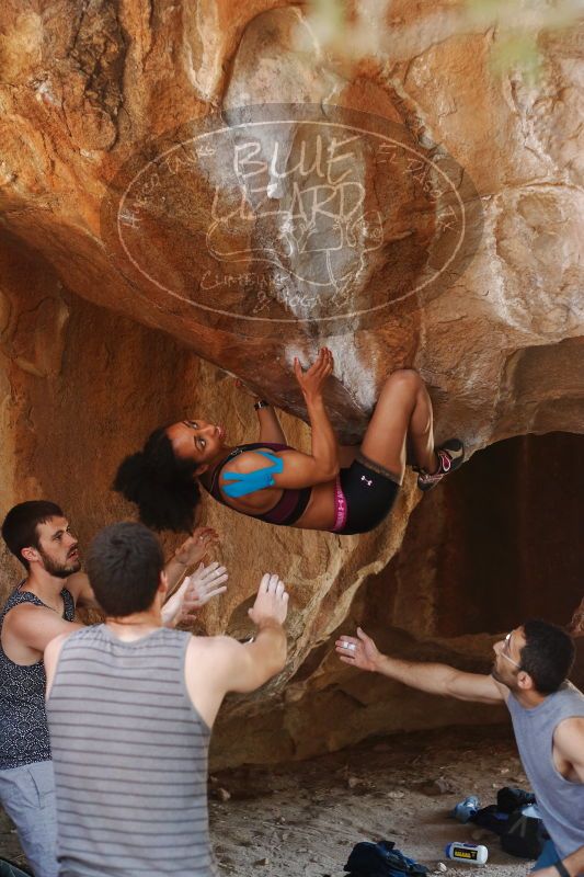 

Filename: SRM_20170312_1336401.jpg
Aperture: f/2.8
Shutter Speed: 1/320
Body: Canon EOS-1D Mark II
Lens: Canon EF 50mm f/1.8 II