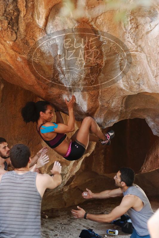 

Filename: SRM_20170312_1336413.jpg
Aperture: f/2.8
Shutter Speed: 1/250
Body: Canon EOS-1D Mark II
Lens: Canon EF 50mm f/1.8 II