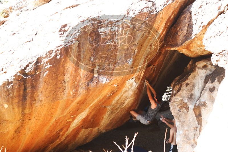 

Filename: SRM_20170312_1341050.jpg
Aperture: f/4.0
Shutter Speed: 1/250
Body: Canon EOS-1D Mark II
Lens: Canon EF 50mm f/1.8 II