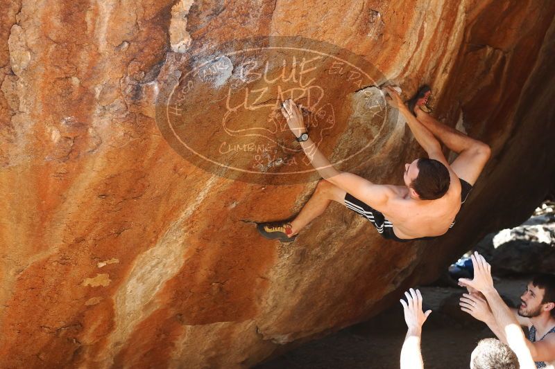 

Filename: SRM_20170312_1345490.jpg
Aperture: f/4.0
Shutter Speed: 1/400
Body: Canon EOS-1D Mark II
Lens: Canon EF 50mm f/1.8 II