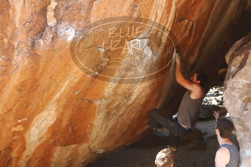 

Filename: SRM_20170312_1347560.jpg
Aperture: f/4.0
Shutter Speed: 1/320
Body: Canon EOS-1D Mark II
Lens: Canon EF 50mm f/1.8 II