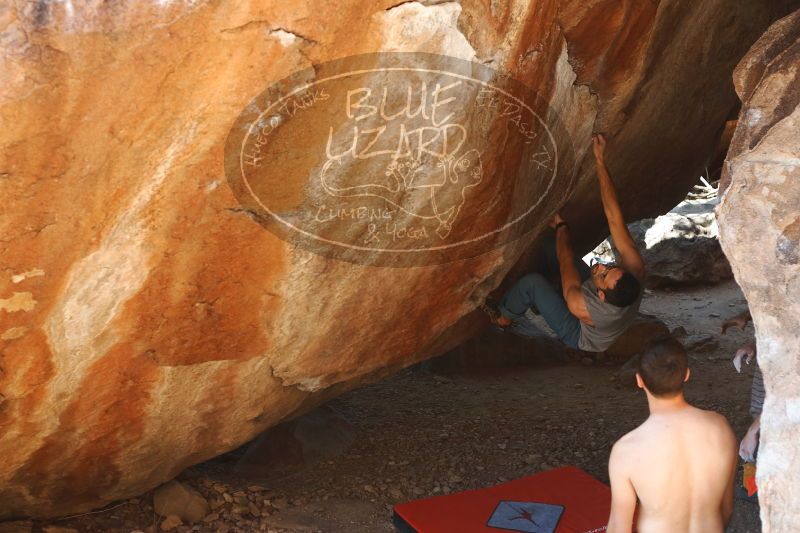 

Filename: SRM_20170312_1348301.jpg
Aperture: f/4.0
Shutter Speed: 1/250
Body: Canon EOS-1D Mark II
Lens: Canon EF 50mm f/1.8 II