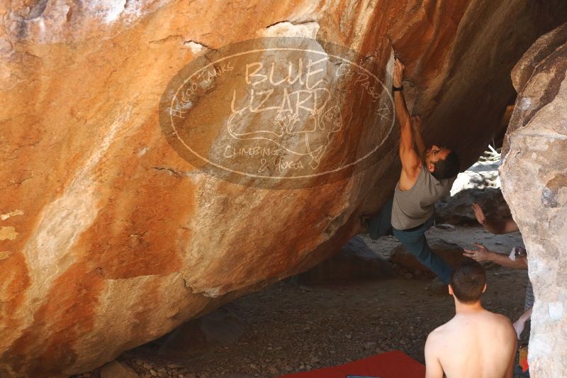 

Filename: SRM_20170312_1348310.jpg
Aperture: f/4.0
Shutter Speed: 1/250
Body: Canon EOS-1D Mark II
Lens: Canon EF 50mm f/1.8 II