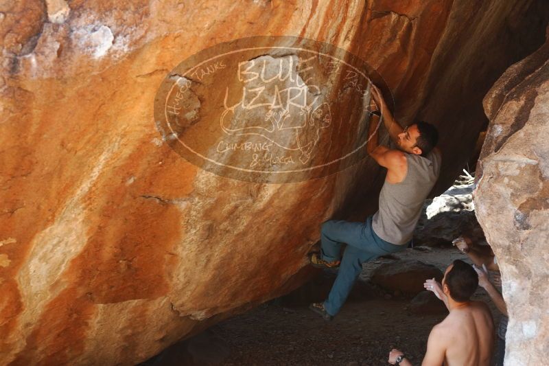 

Filename: SRM_20170312_1348431.jpg
Aperture: f/4.0
Shutter Speed: 1/320
Body: Canon EOS-1D Mark II
Lens: Canon EF 50mm f/1.8 II