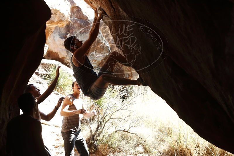 

Filename: SRM_20170312_1349310.jpg
Aperture: f/4.0
Shutter Speed: 1/500
Body: Canon EOS-1D Mark II
Lens: Canon EF 50mm f/1.8 II