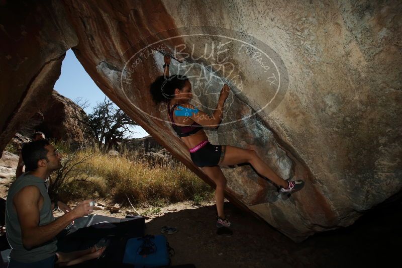 

Filename: SRM_20170312_1352240.jpg
Aperture: f/10.0
Shutter Speed: 1/250
Body: Canon EOS-1D Mark II
Lens: Canon EF 16-35mm f/2.8 L