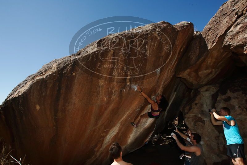 

Filename: SRM_20170312_1406570.jpg
Aperture: f/9.0
Shutter Speed: 1/250
Body: Canon EOS-1D Mark II
Lens: Canon EF 16-35mm f/2.8 L