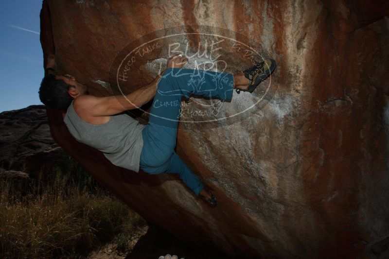 

Filename: SRM_20170312_1424000.jpg
Aperture: f/8.0
Shutter Speed: 1/250
Body: Canon EOS-1D Mark II
Lens: Canon EF 16-35mm f/2.8 L