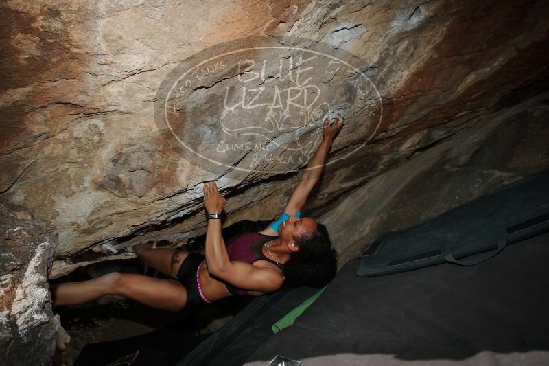 

Filename: SRM_20170312_1508180.jpg
Aperture: f/9.0
Shutter Speed: 1/250
Body: Canon EOS-1D Mark II
Lens: Canon EF 16-35mm f/2.8 L