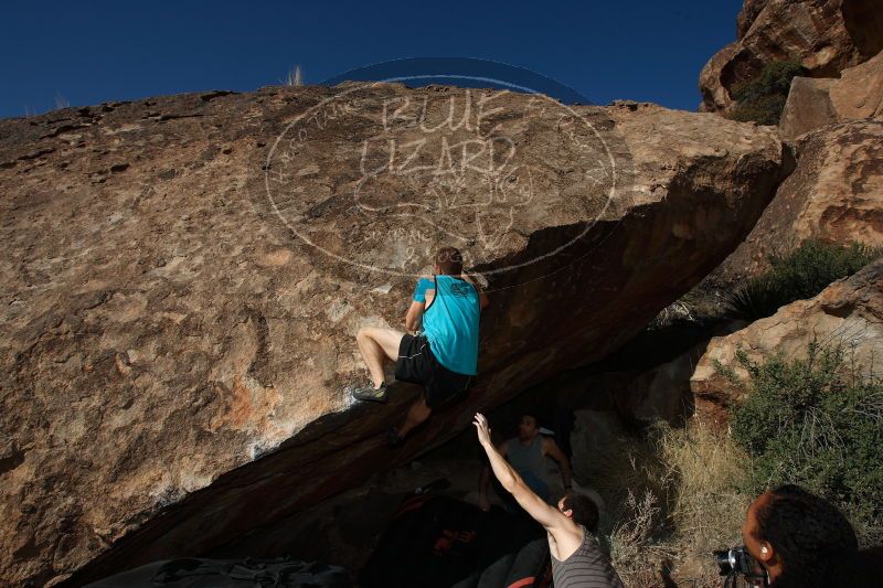 

Filename: SRM_20170312_1534210.jpg
Aperture: f/9.0
Shutter Speed: 1/250
Body: Canon EOS-1D Mark II
Lens: Canon EF 16-35mm f/2.8 L