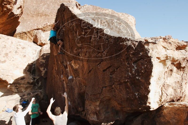 

Filename: SRM_20170312_1607390.jpg
Aperture: f/9.0
Shutter Speed: 1/320
Body: Canon EOS-1D Mark II
Lens: Canon EF 16-35mm f/2.8 L