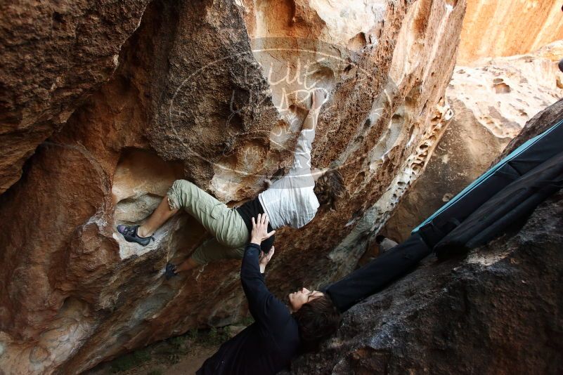 

Filename: SRM_20170313_0933570.jpg
Aperture: f/4.0
Shutter Speed: 1/250
Body: Canon EOS-1D Mark II
Lens: Canon EF 16-35mm f/2.8 L