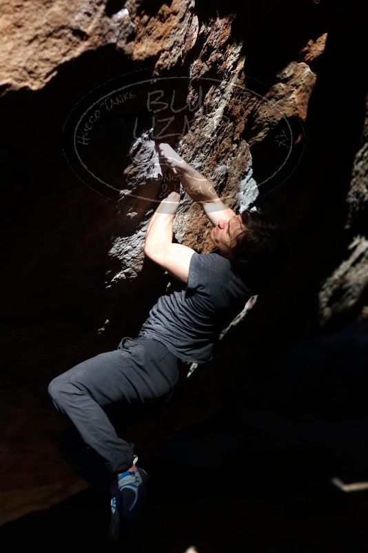 

Filename: SRM_20170313_0949130.jpg
Aperture: f/2.0
Shutter Speed: 1/2500
Body: Canon EOS-1D Mark II
Lens: Canon EF 85mm f/1.2 L II