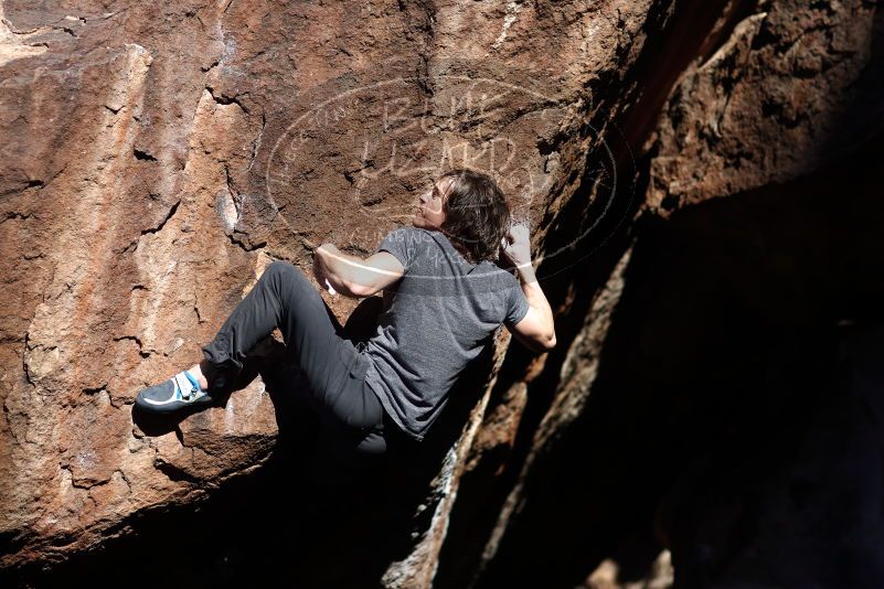 

Filename: SRM_20170313_0949321.jpg
Aperture: f/2.0
Shutter Speed: 1/4000
Body: Canon EOS-1D Mark II
Lens: Canon EF 85mm f/1.2 L II