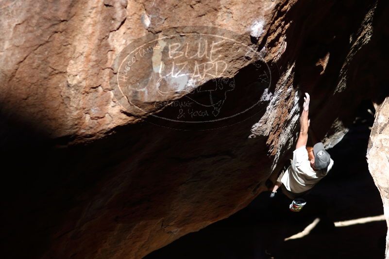 

Filename: SRM_20170313_0955200.jpg
Aperture: f/2.0
Shutter Speed: 1/4000
Body: Canon EOS-1D Mark II
Lens: Canon EF 85mm f/1.2 L II