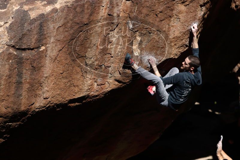 

Filename: SRM_20170313_1000191.jpg
Aperture: f/2.8
Shutter Speed: 1/2500
Body: Canon EOS-1D Mark II
Lens: Canon EF 85mm f/1.2 L II